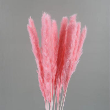 Artificial Pampas Grass Fake Flowers Bunny Tail Grass Furry Plants for Home Decor Wedding Desk Decoration