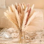 60-109PCS Natural Dried Pampas Grass Bouquet Boho Home Nordic Decor Bouquet Phragmi Wedding Decor Thanksgiving