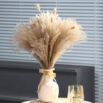 60-109PCS Natural Dried Pampas Grass Bouquet Boho Home Nordic Decor Bouquet Phragmi Wedding Decor Thanksgiving