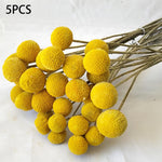 Artificial Pampas Grass Fake Flowers Bunny Tail Grass Furry Plants for Home Decor Wedding Desk Decoration