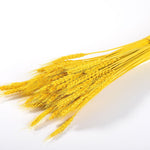Artificial Pampas Grass Fake Flowers Bunny Tail Grass Furry Plants for Home Decor Wedding Desk Decoration