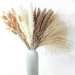 60-109PCS Natural Dried Pampas Grass Bouquet Boho Home Nordic Decor Bouquet Phragmi Wedding Decor Thanksgiving