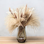 60-109PCS Natural Dried Pampas Grass Bouquet Boho Home Nordic Decor Bouquet Phragmi Wedding Decor Thanksgiving