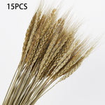Artificial Pampas Grass Fake Flowers Bunny Tail Grass Furry Plants for Home Decor Wedding Desk Decoration