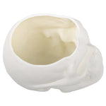 Skull Shaped Pen Pencil Holder Home Office Desk Makeup Supplies Office Organizer Accessory Prop