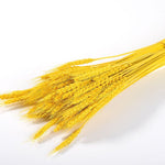 Artificial Pampas Grass Fake Flowers Bunny Tail Grass Furry Plants for Home Decor Wedding Desk Decoration