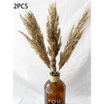 Artificial Pampas Grass Fake Flowers Bunny Tail Grass Furry Plants for Home Decor Wedding Desk Decoration