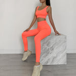 SculptFit Gym 2-Piece Set